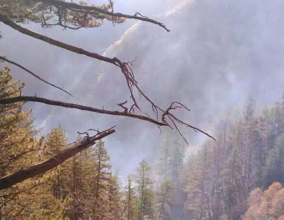 ������������ֳ��������� ������ˮ��ɽ���