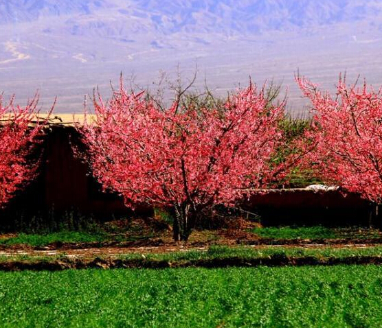 ����ɽ��ӳ���һ������족