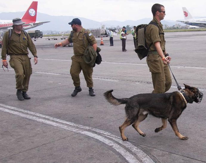国际救援队抵达尼泊尔”
