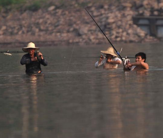 重庆嘉陵江中现“疯狂”捕鱼者”