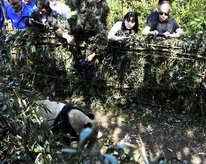 ���Ұ������è���������š��Ź���Ȼ��