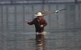 重庆嘉陵江中现“疯狂”捕鱼者”