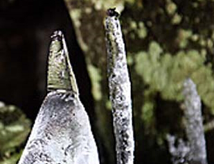 韩国一神奇山谷30度高温下结冰柱”