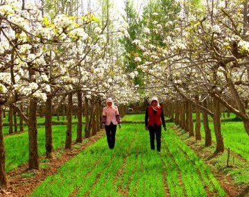 ����������ȴ������޺á�