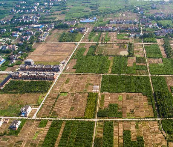 �㽭ͩ�磺��İɣ���� ������������