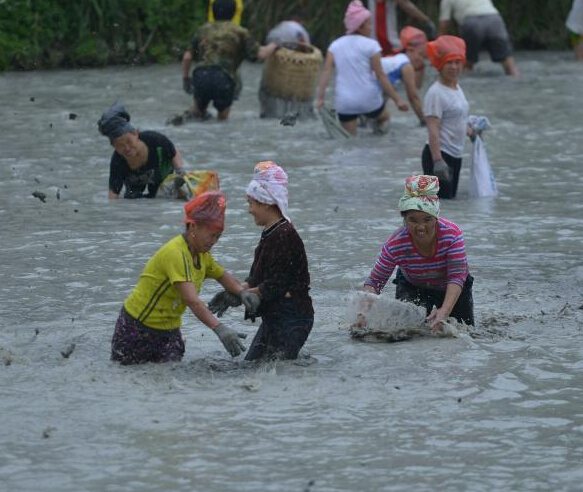 ������������˽� ���������º�������Ϻ��