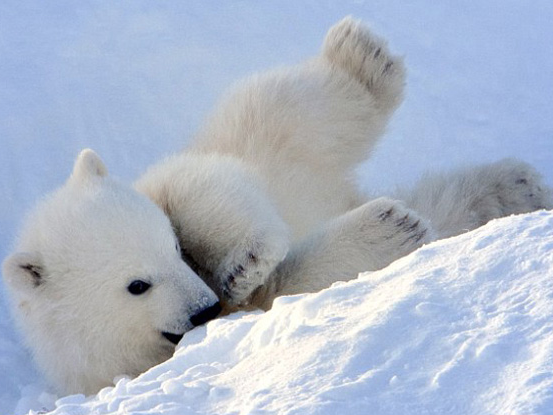 ��Ӱʦ�ı����������״��º����㡱