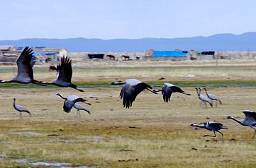 ������輯�½�����ɽ���°�����ʪ�ء�