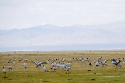 ������輯�½�����ɽ���°�����ʪ�ء�