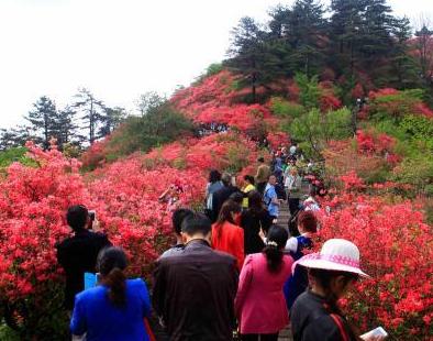 �������10��Ķ�ž�ŭ�ţ����ɽ�ɺ�ɫ������