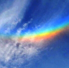 �������ݡ��߲����ơ������ųǡ�