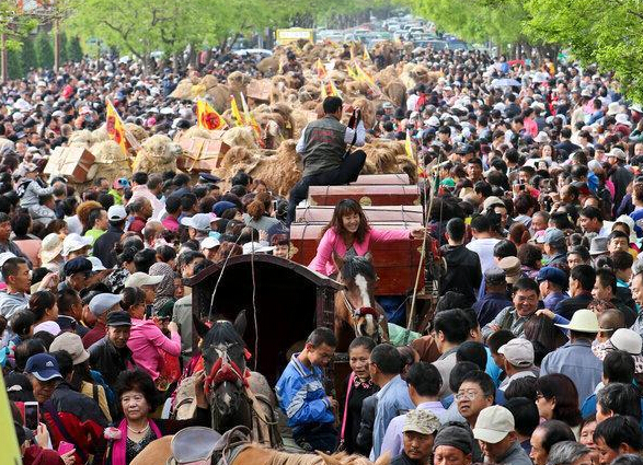 �ٷ��ն�����˿��֮· ������������ʮ���˹ۿ���