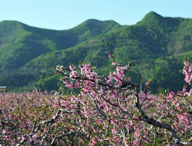 �����һ�ʢ���ĵط���