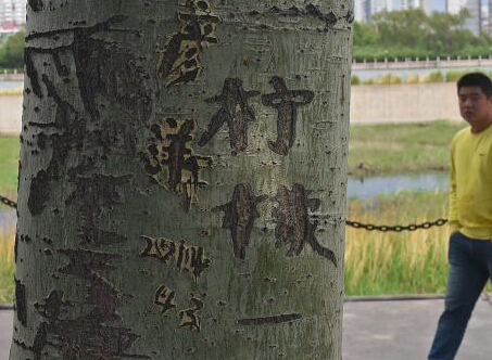 ̫ԭ����200��������������֡�