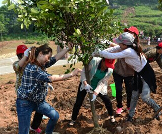 湖北宜昌300余劳模义务植树呼吁善待自然”