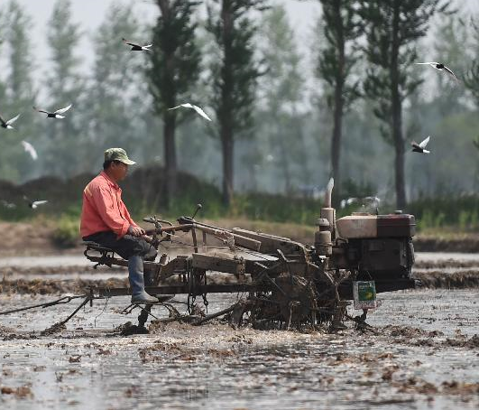 ����鴺����