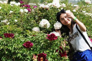 兰州千亩牡丹映衬旗袍美女“国色天香””