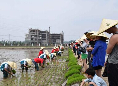 ˮ�������Ļ��ں������Ҿ��� �������������