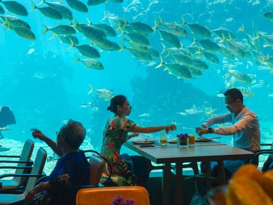 ��һ��һ·���������ᵵ���������ʻ���Ʒ�������γǡ�