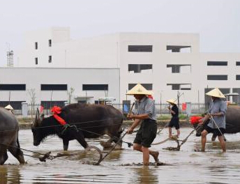 ˮ�������Ļ��ں������Ҿ��� �������������