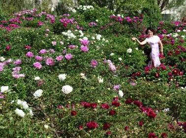 ����ǧĶĵ��ӳ��������Ů����ɫ���㡱��