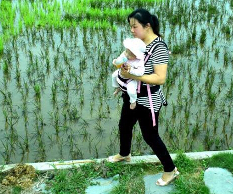 ���ϰ�����ũ�����ˮ������������