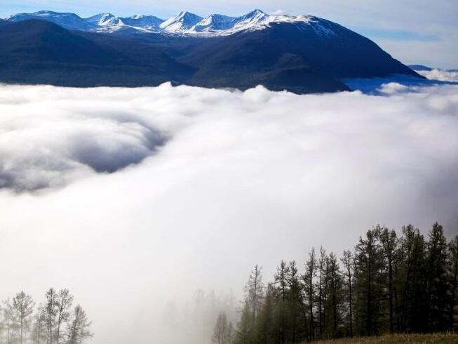 �½�����˹�����ƺ������ۡ�