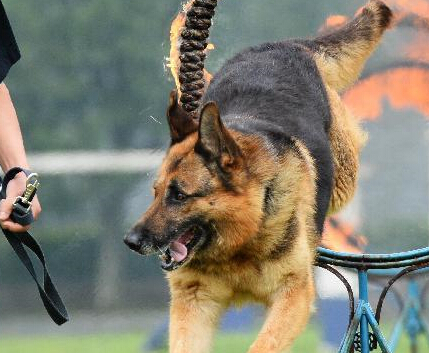 ���ݾ�Ȯ���ؾٰ쿪���ջ �����뾯Ȯ���ܻ�����