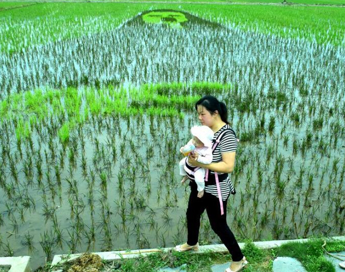 ���ϰ�����ũ�����ˮ������������