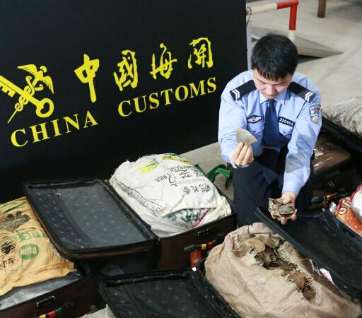 �Ϻ����ز�����������˽���ֲ����Ʒ����