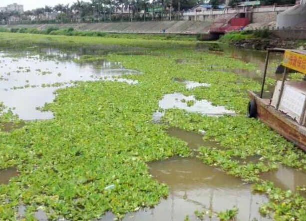 ����ˮ��«�������������ս�������