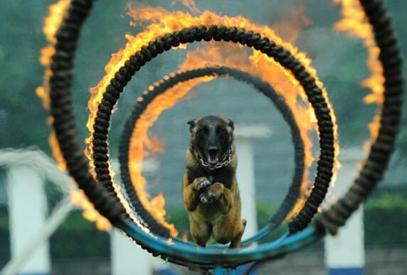 ���ݾ�Ȯ���ؾٰ쿪���ջ ��Ȯչʾ����ܡ�