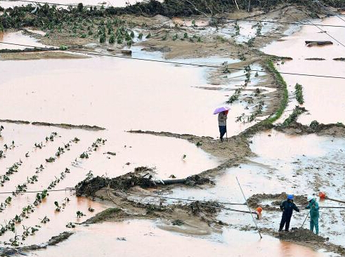 强降雨致福建20多万人受灾 直接损失超20亿”