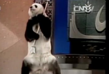 ��è�����Ρ�ԭ��ӭ35������ �����ǵĳ������ܡ�