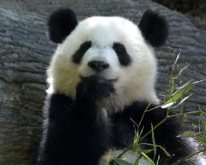 ���������á�