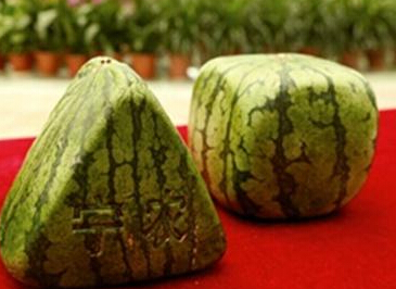 ���������ε������������཭�ճ��С�