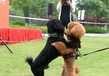 ���ݾٰ칷�������׻ᡱ ���������衱Я��Ȯ�ҡ����¡���