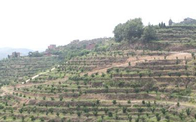 ��Ͽ������̬���Ͻ��������Ч��