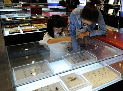 ����չʾ�ػ��ֹ������걾330���֡�