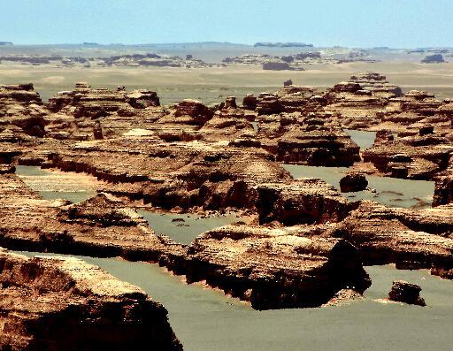 �ػ��ŵ� ������ۡ�