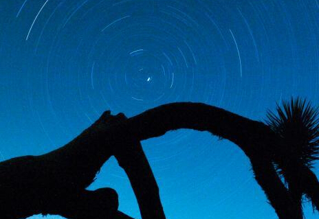 ����Լ���������ҹ�԰�ǿա�