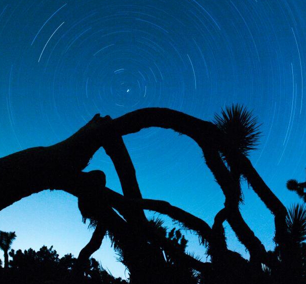 ����Լ���������ҹ�԰�ǿա�