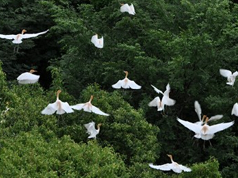 ��Ϣ�ؼ��ٰ��ؼ��۴�ѧ ѧ���롰�ء�Ϊ�������ػ���