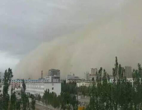 �ຣ���ľ����8���������ɳ���������Ƭ��