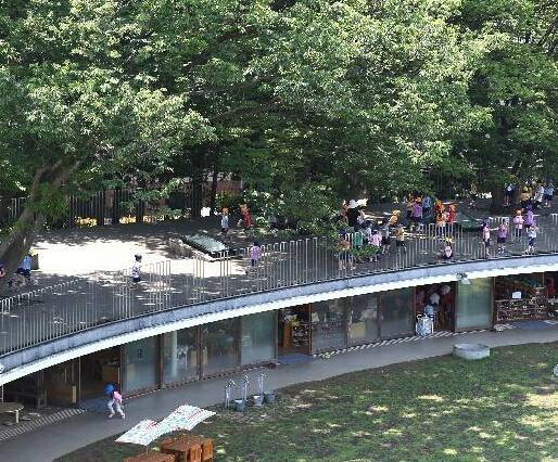 探访日本富士幼儿园”