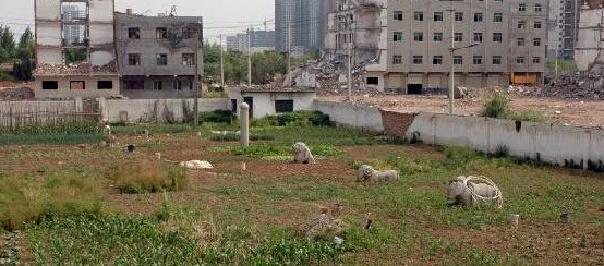 ������������԰���԰ Ĺ��Χ����ũ���