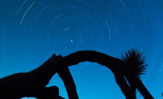 ����Լ���������ҹ�԰�ǿա�