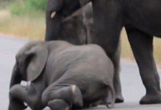 ��ȺΪ�ȵ���С����ϵ�·��Ͻ�ͨ��