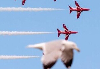 ��Ÿ�������ϵ�ŵ��չ�����ߺ����硱