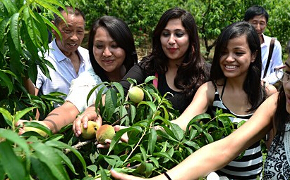 ��Ͽ�����԰조��һᡱ �������ο�����ժ�ҡ�